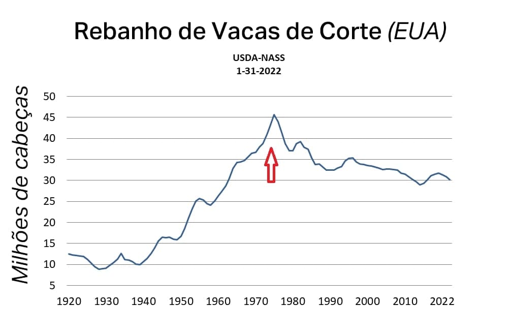 Gráfico de linha do rebanho de vacas ao longo do tempo